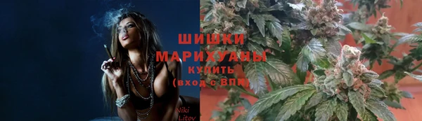ГАЛЛЮЦИНОГЕННЫЕ ГРИБЫ Белокуриха