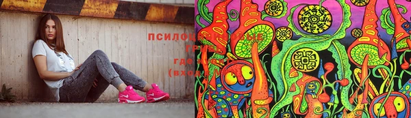 ГАЛЛЮЦИНОГЕННЫЕ ГРИБЫ Белокуриха