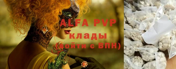 ГАЛЛЮЦИНОГЕННЫЕ ГРИБЫ Белокуриха